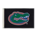 Showdown Displays Showdown Displays 810002FLA-002 2 x 3 ft. Florida Gators NCAA Flag - No.002 810002FLA-002